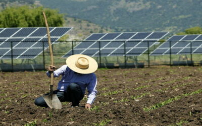 Energía Agrovoltaica: Uniendo Agricultura y Energía Solar