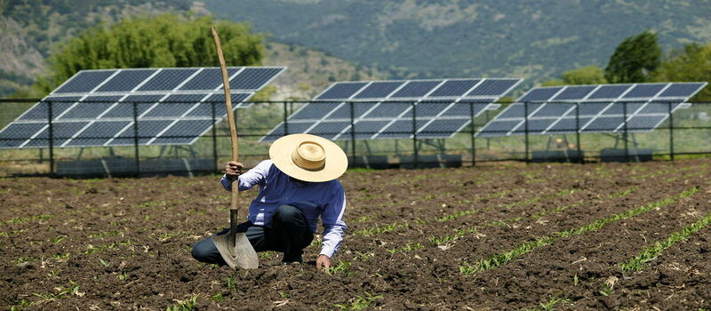 Energía Agrovoltaica: Uniendo Agricultura y Energía Solar